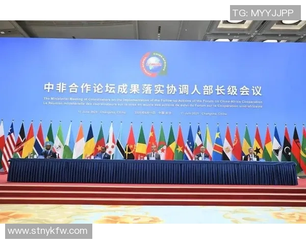 以全球视野加强国际合作推动国家外交战略转型与发展 以全球视野加强国际合作推动国家外交战略转型与发展