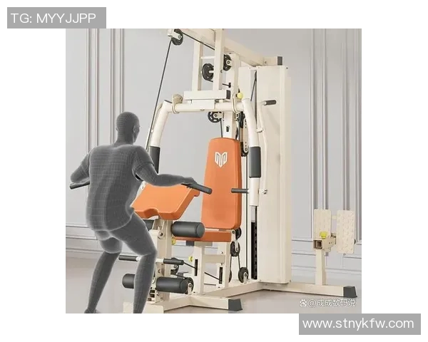 全面解析健身器材的种类功能选择技巧以及使用方法助你打造完美身材