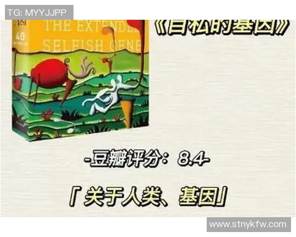 北京羽毛球队战术解析与实战应用的深度探讨与思考