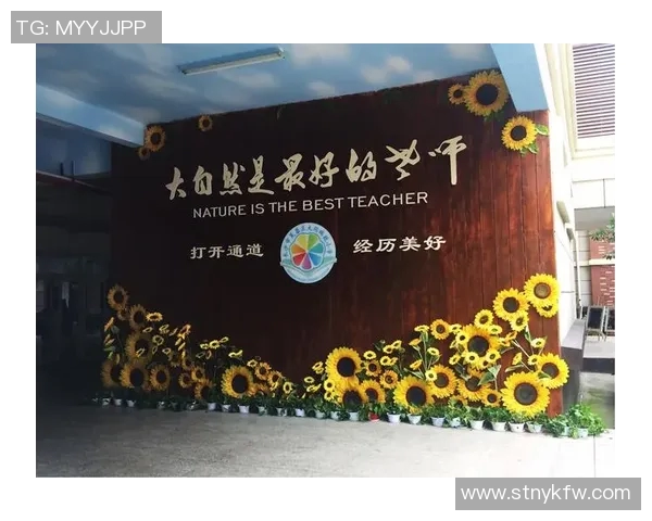 与杨娜畅谈篮球生涯的点滴与成长之路