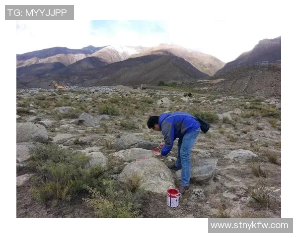 南京攀岩队反击之路：挑战与收获的双重考验分析